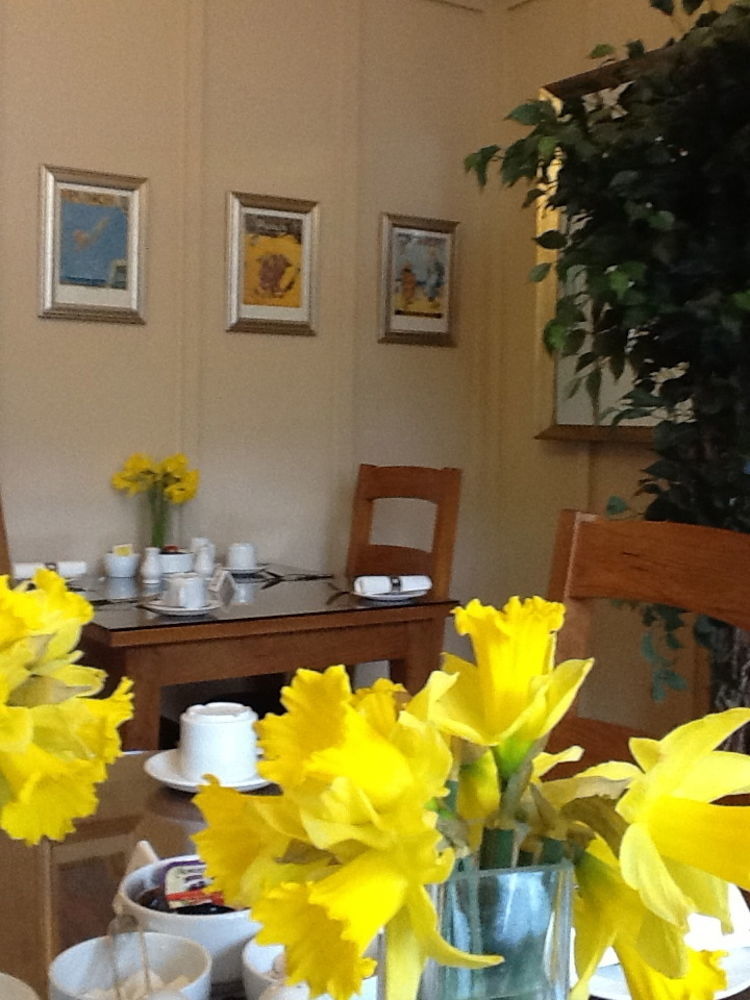 The Groveside Guest House Sidmouth Eksteriør bilde